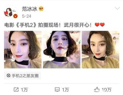 娱乐圈吃瓜教主,揭秘“吃瓜教主”的瓜田传奇