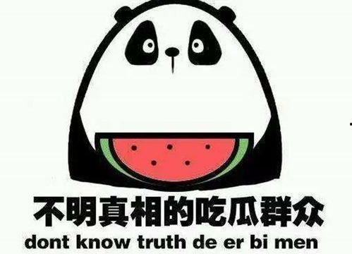 娱乐吃瓜壁纸图片大全集,盘点热门明星瞬间，解锁娱乐圈幕后故事